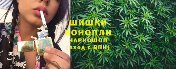 круглые Пересвет