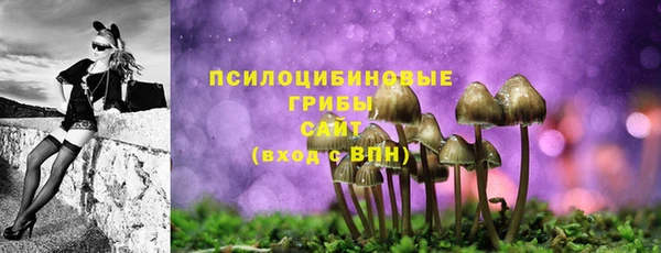 прущие крисы Алексин