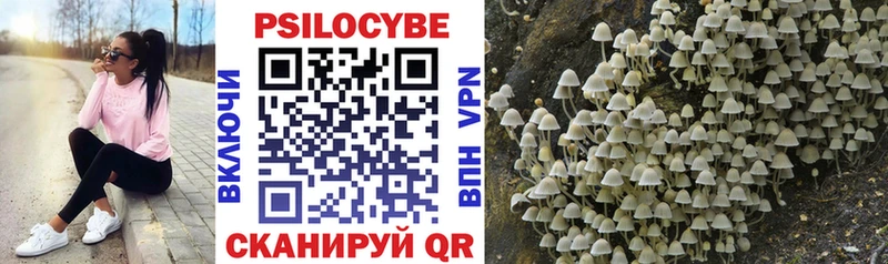 Псилоцибиновые грибы MAGIC MUSHROOMS  Калач-на-Дону 